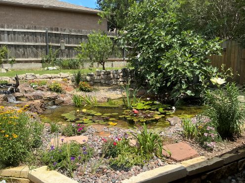 pond d jun 6.jpg